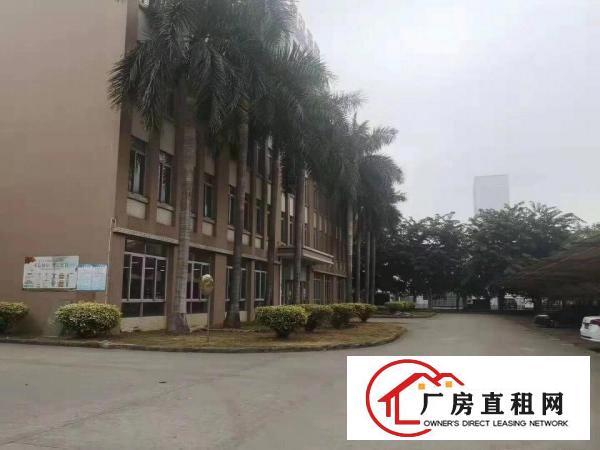  望牛墩镇独院上市企业形象标准厂房红本可办环评