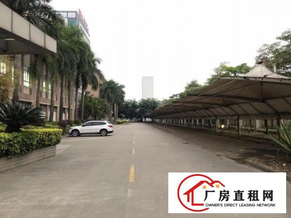  望牛墩镇独院上市企业形象标准厂房红本可办环评