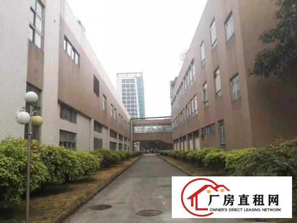  望牛墩镇独院上市企业形象标准厂房红本可办环评