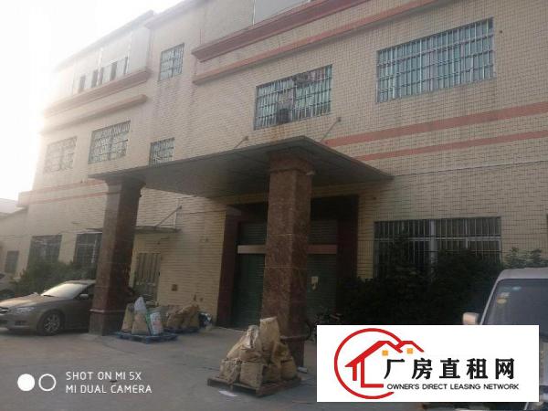  独院标准厂房总面积46961平方1-2层