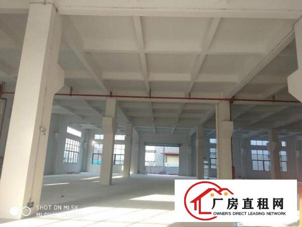  独院标准厂房总面积46961平方1-2层