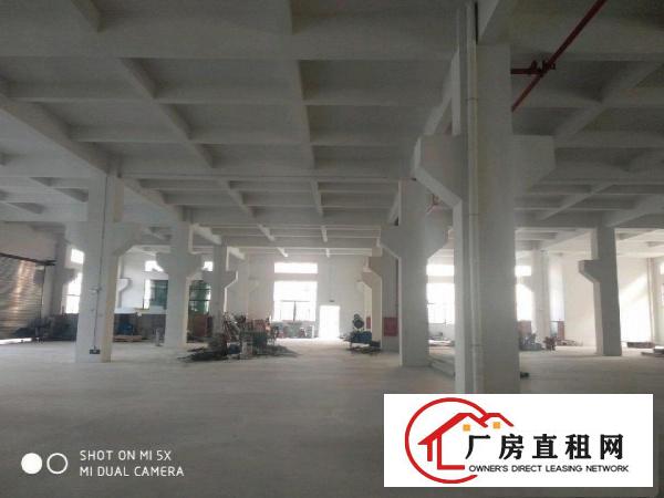  独院标准厂房总面积46961平方1-2层