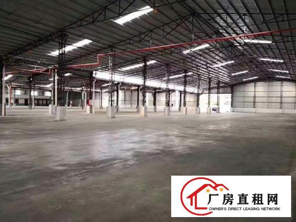  望牛墩独院单一层钢构厂房2500平方出租水电消防喷淋齐全