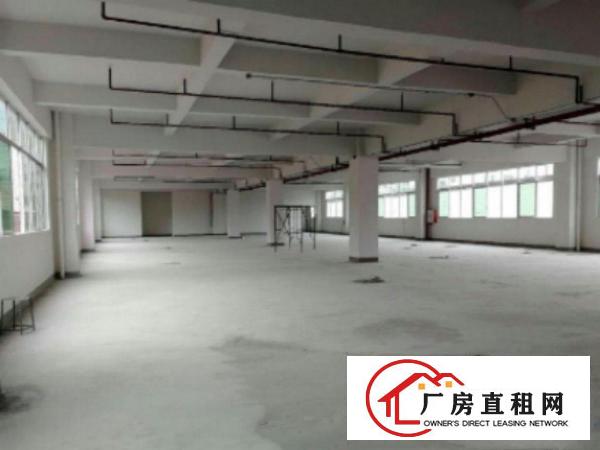  望牛墩花园式工业园楼上厂房分租2000平方出租现成装修