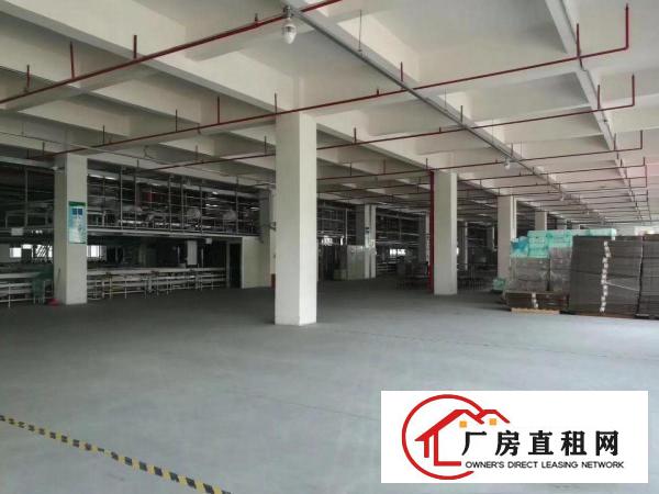  望牛墩独院标准一楼500-2000方厂房招租现成装修水‌‌电