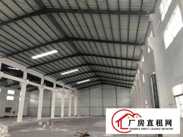  望牛墩独院单一层钢构厂房2900平方出租