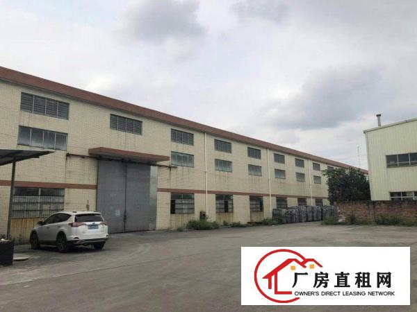  望牛墩独院单一层钢构厂房2900平方出租
