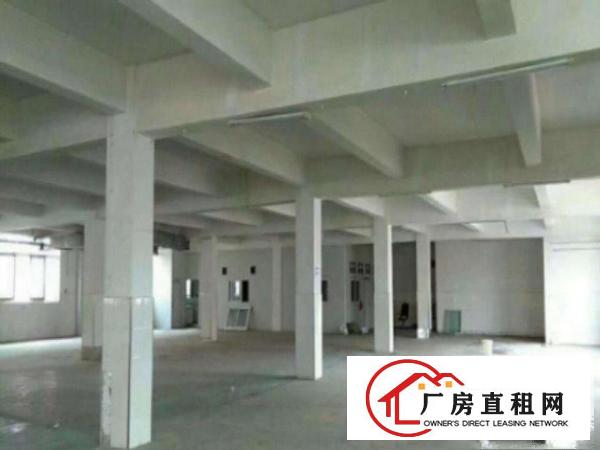  望牛墩环城路外独院标准楼房3层4800平方出租交通方便