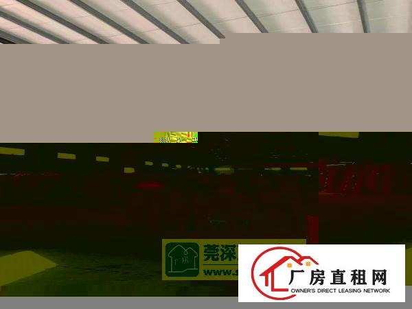  出租望牛墩镇优质场地仓库办公生产低价