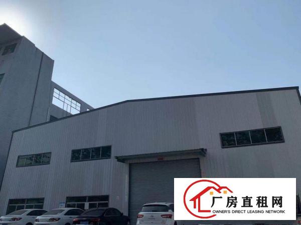  出租望牛墩镇优质场地仓库办公生产低价