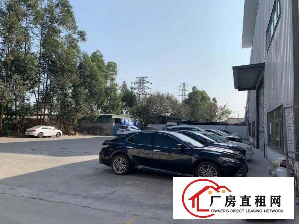  出租望牛墩镇优质场地仓库办公生产低价