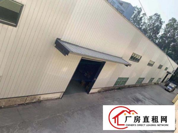  出租望牛墩镇优质场地仓库办公生产低价