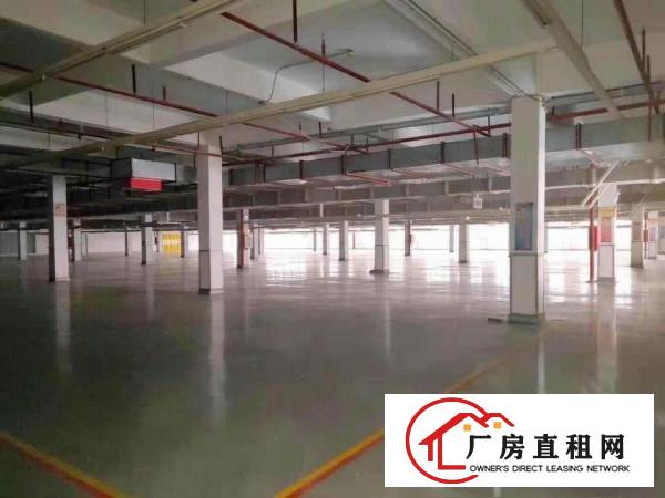  花园式厂房独门独院工业区