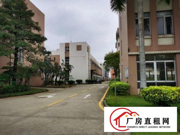  大型工业园区大小可分低100方起租