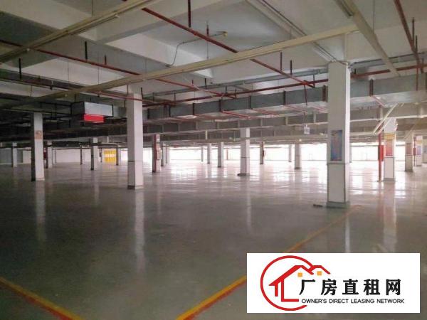 大型工业园区大小可分低100方起租