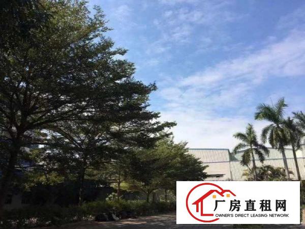  大型工业园区大小可分低100方起租