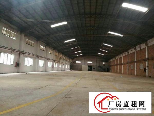  望牛墩环城路4000平方单一层钢结构厂房出租水电配套设施齐全