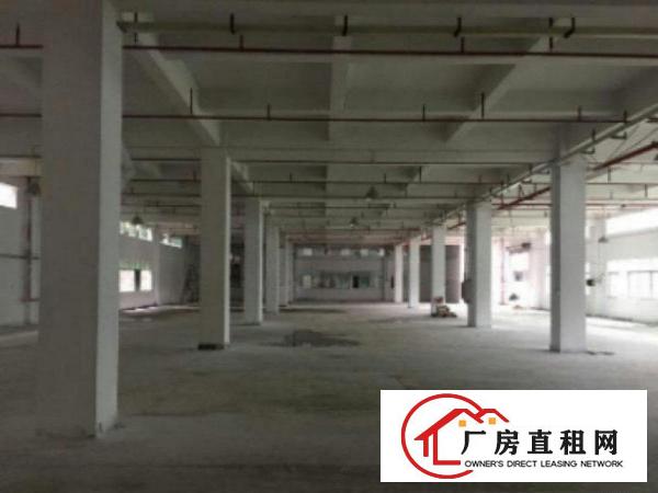  望牛墩周边标准独院300-20000平方厂房仓库招租分租