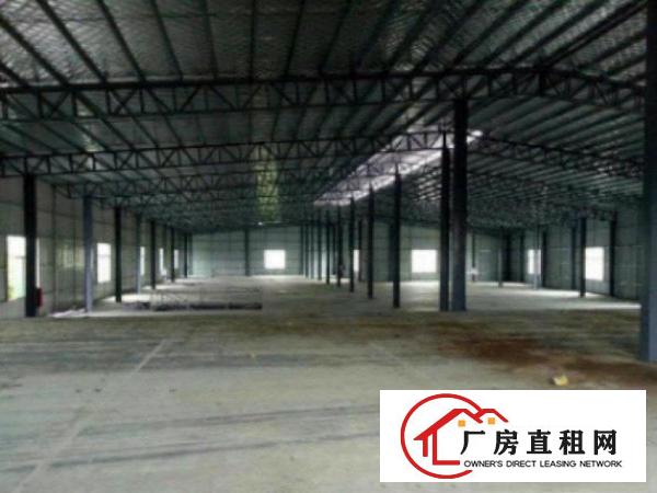  望牛墩独院5000平方钢构单一层厂房招租水电线路齐空地大