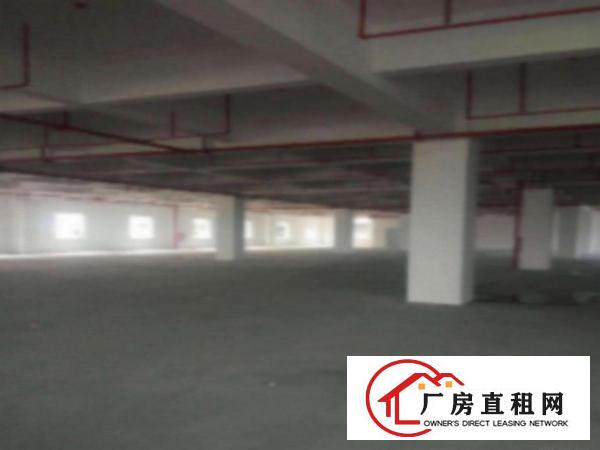  望牛墩工业区标准一楼1000平方招租水电齐全