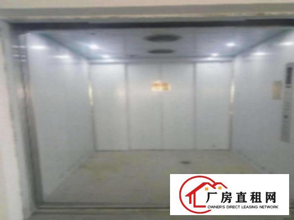  望牛墩工业区标准一楼1000平方招租水电齐全