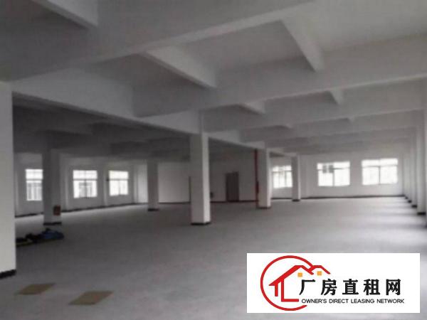  望牛墩标准一楼厂房800或1000㎡出租配套齐全工业区环境好