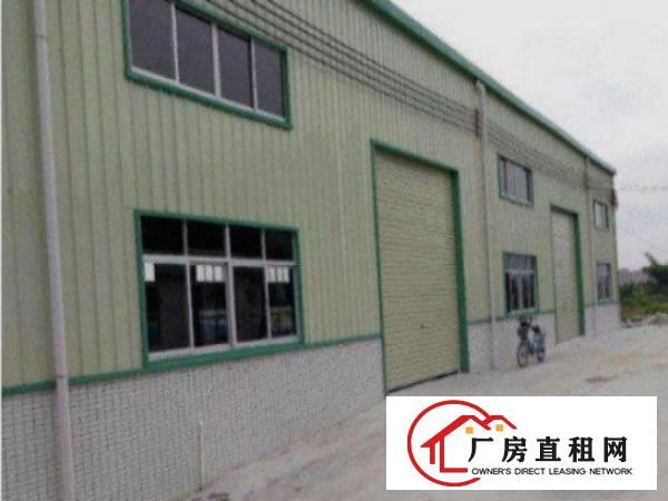  望牛墩独院单一层钢构厂房3000平方出租招工方便，适合五金