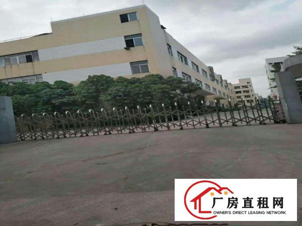 望牛墩2000平米一楼标准厂房出租水电齐全空地大消防等设施齐