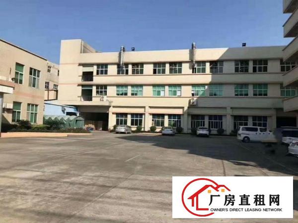  望牛墩独院标准厂房楼上1500平方出租有现成装修办公室