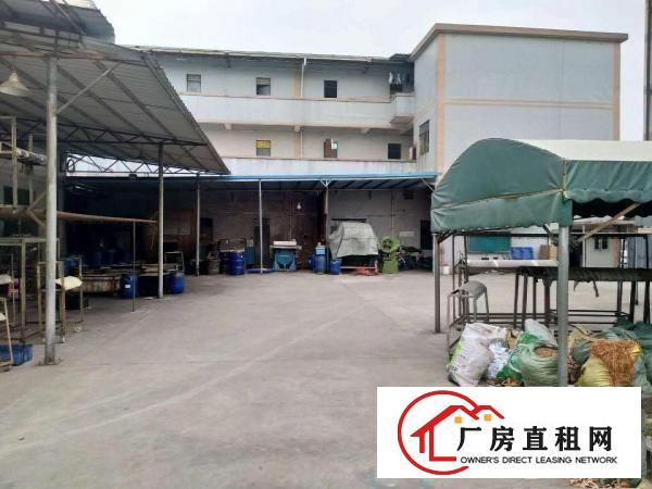  中堂望牛墩高埗万江大量低价原房东独院厂房仓库出租
