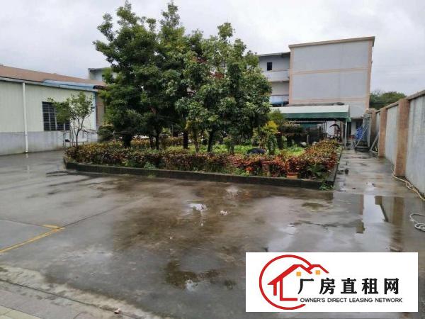 中堂望牛墩高埗万江大量低价原房东独院厂房仓库出租