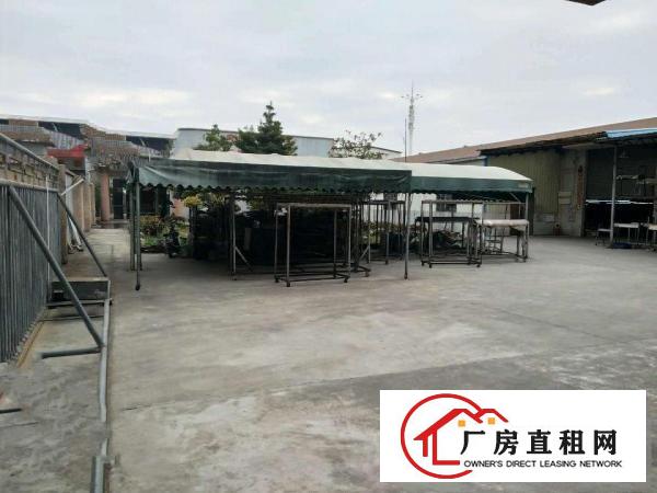  中堂望牛墩高埗万江大量低价原房东独院厂房仓库出租