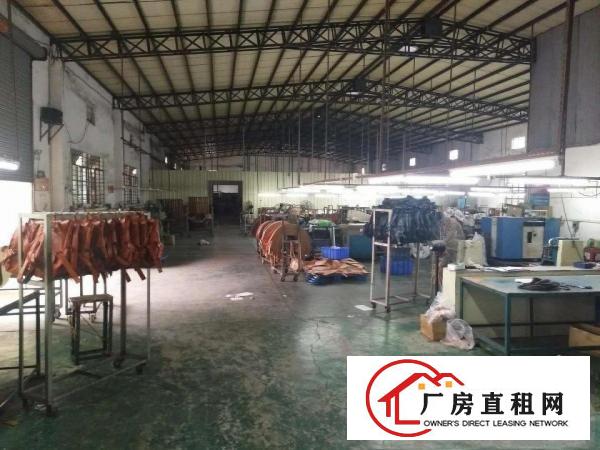  中堂望牛墩高埗万江大量低价原房东独院厂房仓库出租