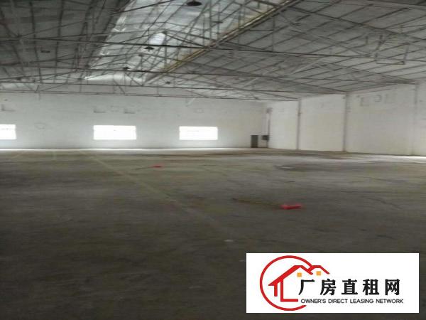  中堂望牛墩高埗万江大量低价原房东独院厂房仓库出租