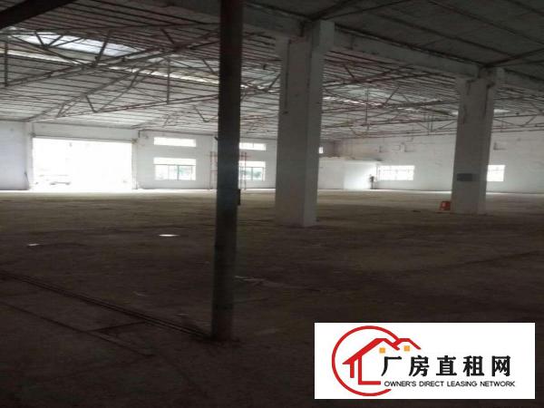  中堂望牛墩高埗万江大量低价原房东独院厂房仓库出租