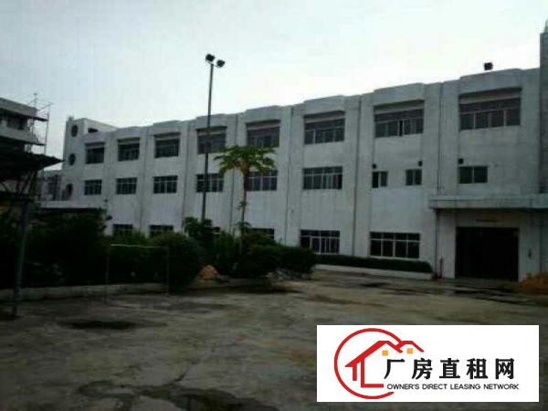  望牛墩中堂高埗万江大量低价原房东独院厂房仓库出租