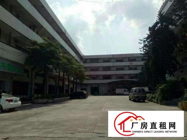  望牛墩中堂高埗万江大量低价原房东独院厂房仓库出租