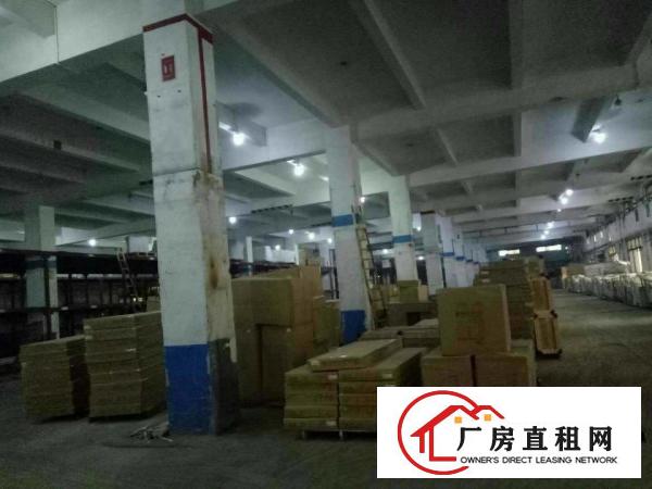  望牛墩中堂高埗万江大量低价原房东独院厂房仓库出租