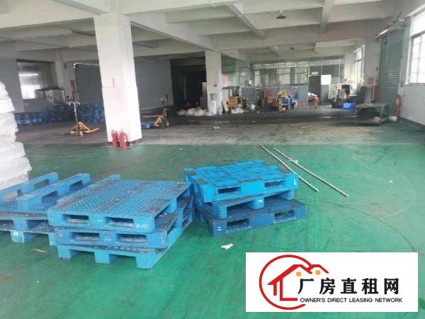  出租独院厂房一二楼中介勿扰