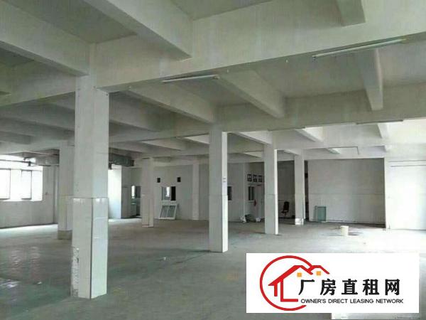  望牛墩标准厂房分租楼上2000平方出租适合做电子，纸品包装