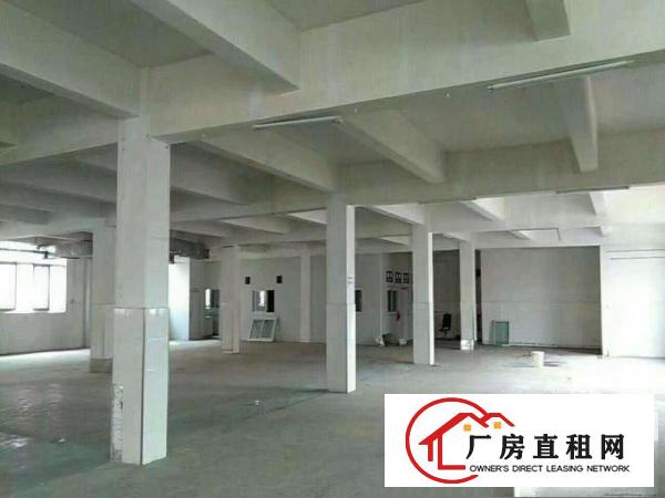  望牛墩现出标准厂房楼上1500平方带办公室装修出租