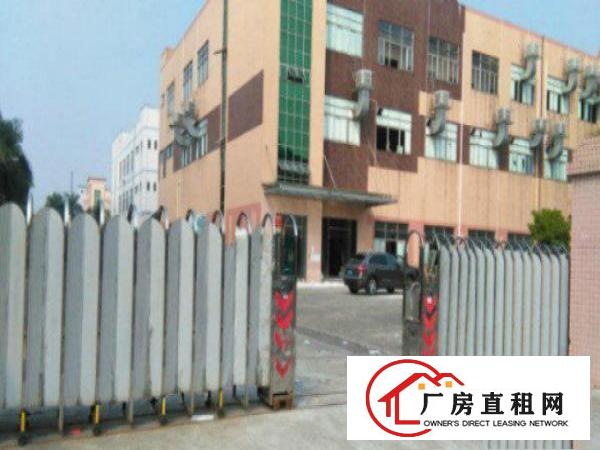  望牛墩标准厂房楼上楼2000平方出租适合做电子加工贸易仓储等