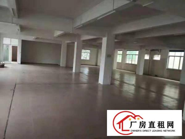  望牛墩工业区标准厂房出租一楼1800平方出租交通方便形象好