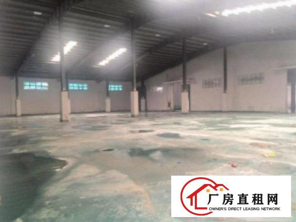  望牛墩1500平方单一层独院厂房招租有现成豪华装修办公室