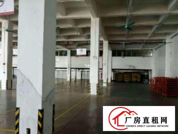  望牛墩新出工业园厂房二楼2000平方出租