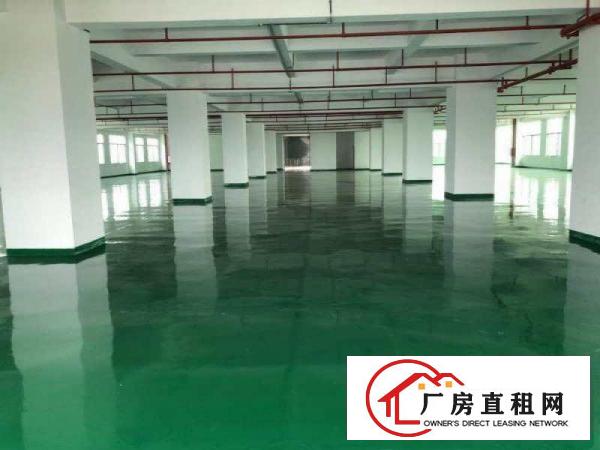  望牛墩工业区2楼2000平米个人独院标准厂房招租