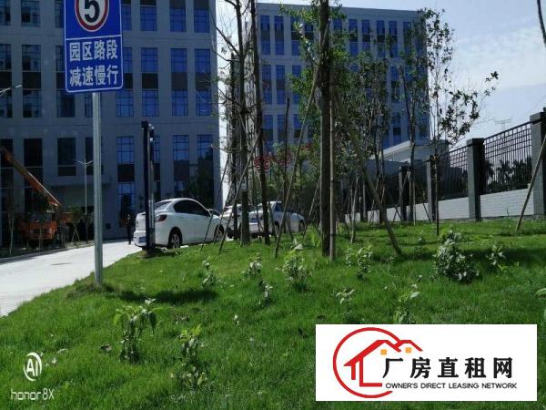  出租望牛墩镇芙蓉产业中心23万平方可办环评可做物流园大型仓储