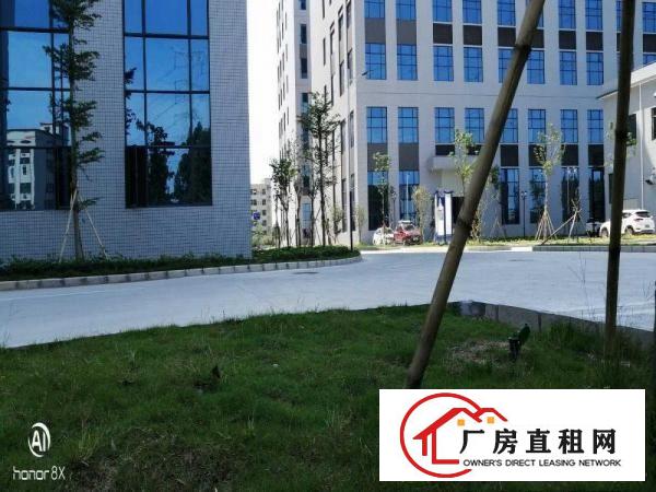  出租望牛墩镇芙蓉产业中心23万平方可办环评可做物流园大型仓储