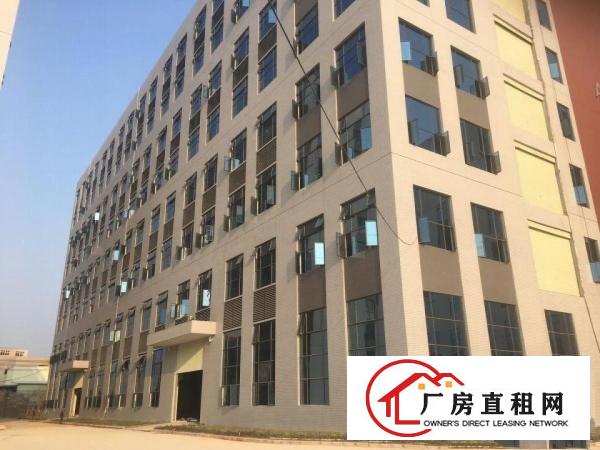  出租望牛墩镇芙蓉产业中心23万平方可办环评可做物流园大型仓储