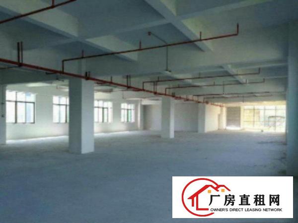  望牛墩标准一楼厂房500-5000平米低价招租